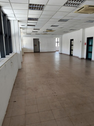Loyang Industrial Estate (D17), Factory #550866951